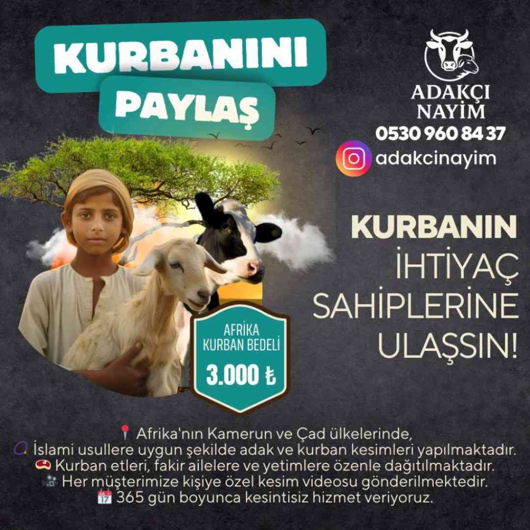 Kampanya